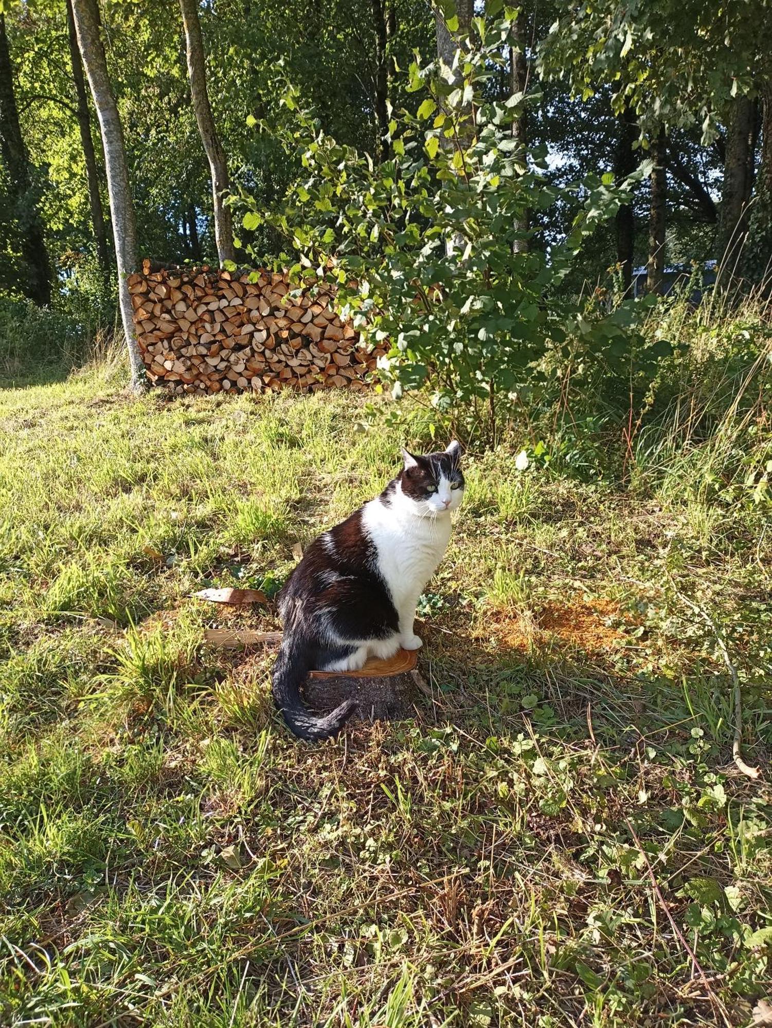 Gite Nature Et Detente Aubreville ภายนอก รูปภาพ