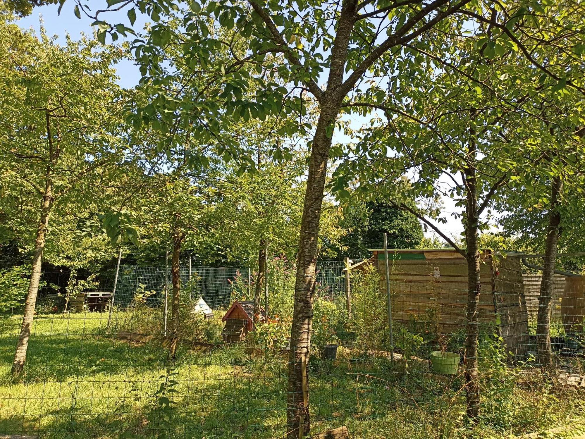 Gite Nature Et Detente Aubreville ภายนอก รูปภาพ