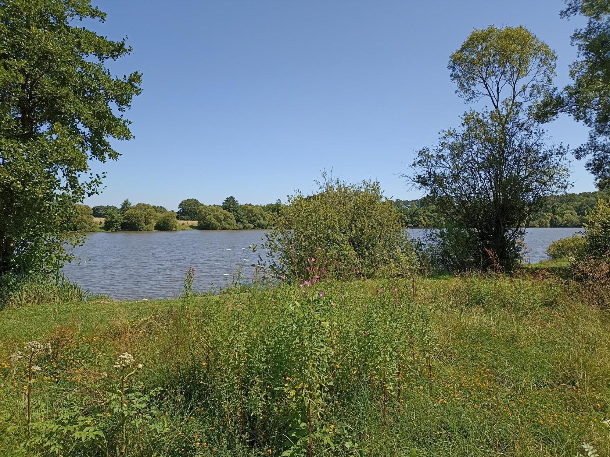 Gite Nature Et Detente Aubreville ภายนอก รูปภาพ